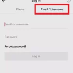 log in TikTok account via your Username-1