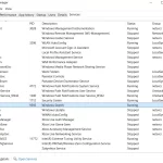 What is SearchIndexer exe -4