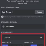 How to Stream Netflix on Discord from a PC 5