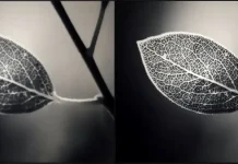 Что такое настройка резкости на телевизоре