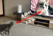 Расстояние просмотра 65-дюймового телевизора