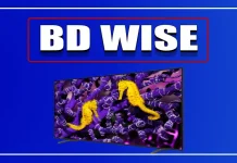 Технология BD WISE от Samsung, объяснение