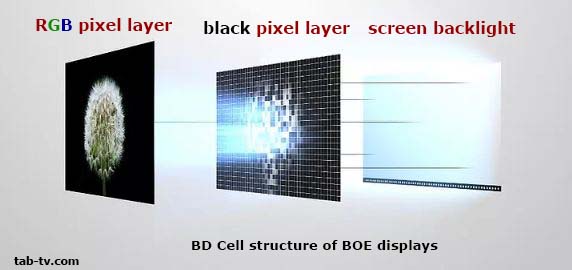 Структура дисплея BD-Cell
