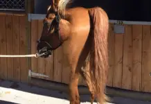 Ошибки HDR и панорамных фото