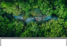 TV LG SIGNATURE ZX краткий обзор