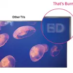 burn-in